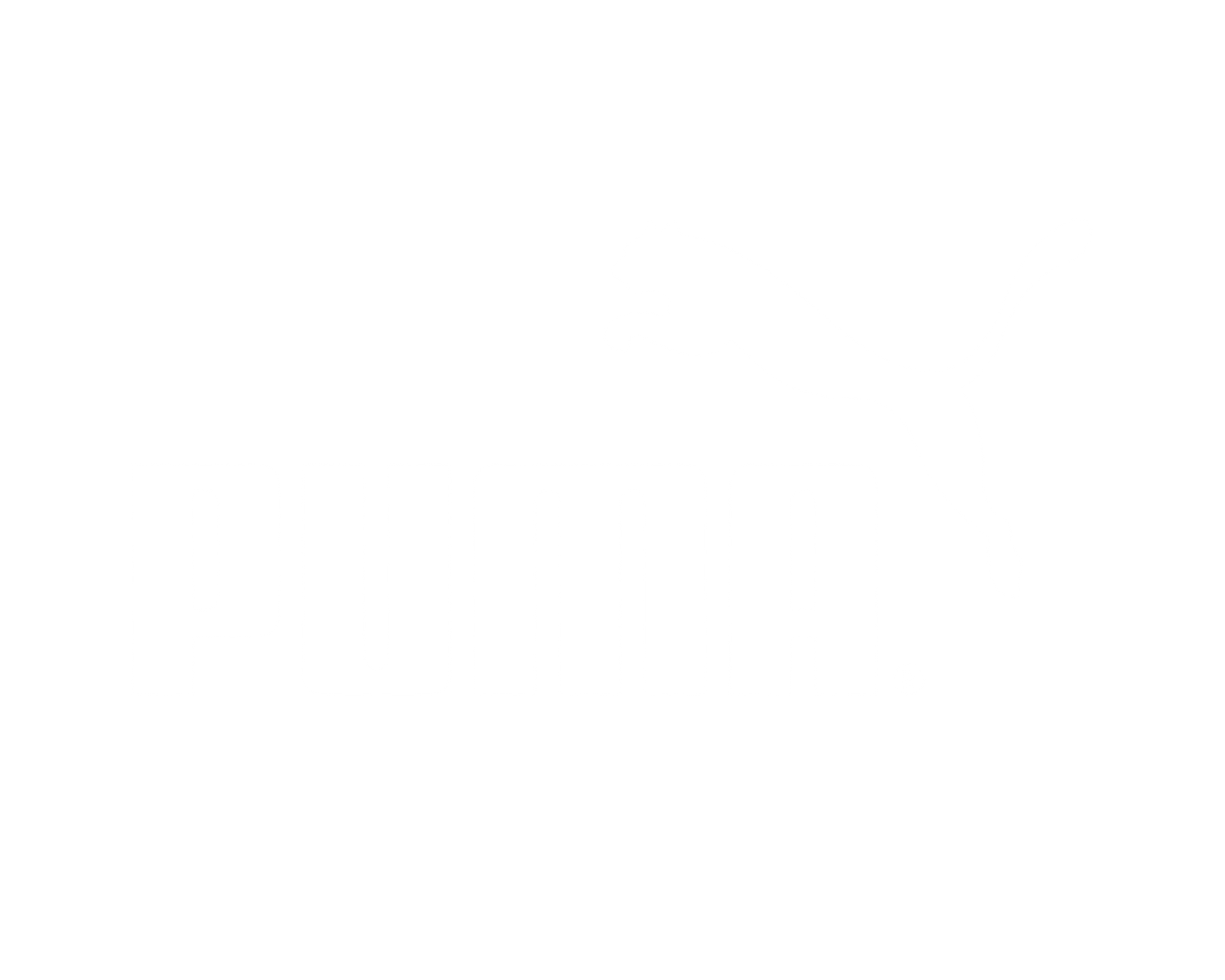 puma-2